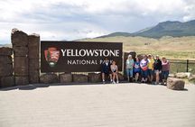 Private Small Group Yellowstone Wildlife Safari