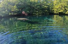 The sanctuary an adventure between mangroves