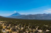 2 Days Colca Living Experience Nature Culture and Tradition