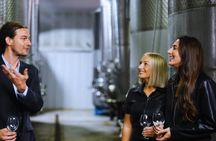 Chattanooga Southern Food and Wine or Whiskey Tour with Tastings