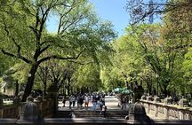 Central Park Pedicab Guided Tour