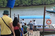 Johor Desaru Coast Day River Cruise