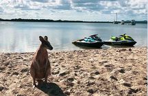 2 Hour Tropical Island Jet Ski Tour