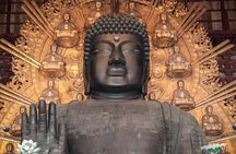 Osaka and Nara Day Tour with Private Transportation
