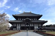 Osaka and Nara Day Tour with Private Transportation