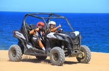 UTV, Free Horseback Ride & Sky Bikes Adventure Combo