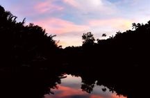 Johor Desaru Coast Firefly Afterdark River Cruise