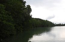 Johor Desaru Coast Firefly Afterdark River Cruise