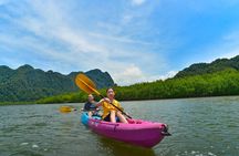 Ao Thalane Kayaking Mangrove Forests Adventure from Krabi 
