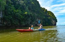 Ao Thalane Kayaking Mangrove Forests Adventure from Krabi 