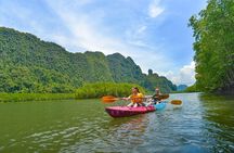 Ao Thalane Kayaking Mangrove Forests Adventure from Krabi 