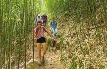 SAPA: 2 DAYS Walking & 1 night at Homestay with LOCAL GUIDE