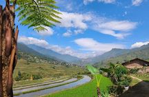 SAPA: 2 DAYS Walking & 1 night at Homestay with LOCAL GUIDE