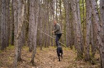 Truffle Hunting and 3-course Truffle Brunch in Motovun