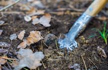 Truffle Hunting and 3-course Truffle Brunch in Motovun