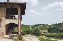 Organic Wine Tasting in the Langhe Hills – Vineyard & Cellar Tour