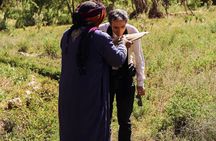 Explore the Sahara: 3 Days from Marrakech to Fes