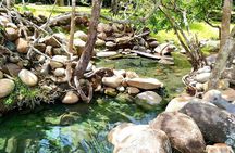 Best of Boquete: Hot springs, Waterfall and Chiriqui river Tour 