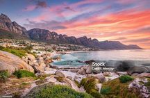 Table Mountain and Cape of Good Hope Tour