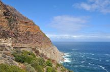 Table Mountain and Cape of Good Hope Tour