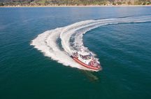 Cathedral Cove Scenic Cruises Whitianga