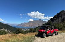 Scenic Guided Off-Road Buggy Tour from Queenstown