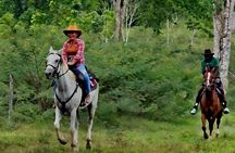Jungle Horseback Riding with Lunch