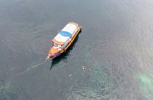 Koh Tao's First Light Snorkel Adventure with Oxygen Tours