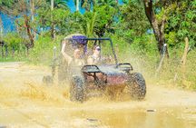 Horseback Riding and Buggy and Macau Cave and Beach Tour