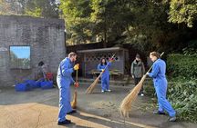 Panda Volunteering Experience at Dujiangyan or Wolong Panda Base