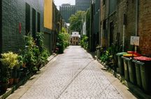Bloody Dames of Darlinghurst Crime Tour