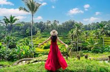 Ubud Tour with Swing, Waterfalls, Rice Terraces & Monkey Forest
