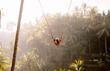 Ubud Tour with Swing, Waterfalls, Rice Terraces & Monkey Forest