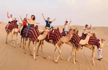 The Heart of the Desert – Doha Safari & Inland Sea Tour