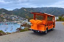 Private Guided City Tour up to 12 Passengers