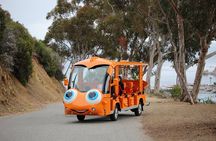 Private Guided City Tour up to 12 Passengers