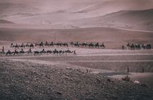 Agafay: 30min Quad, Camel Ride, Pool & Lunch