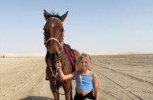Arabian Horse Riding in Doha