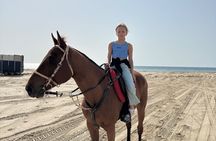 Arabian Horse Riding in Doha