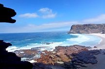 Hiking Cape of Good hope, Cape Point & Penguins Private Full Day