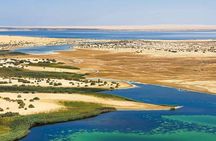 One-Day Fayoum Exploration