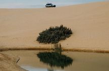 One-Day Fayoum Exploration