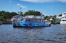 Island and Dolphin Tour in North Myrtle Beach