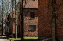  Krakow to Auschwitz Birkenau Guided Tour with Private Transfer