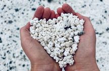 Small group, guided tour: Lobos Island, Popcorn Beach, and Dunes