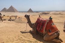 Cairo Highlights Tour Pyramids Museum and Optional Nile Cruise