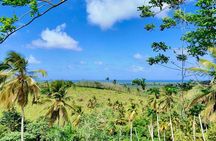 Small Group Punta Cana Tour by 4x4 ATV