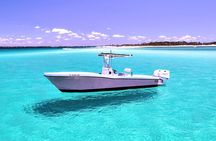  3 Hour Dolphin Tour and Snorkeling in Shell Island