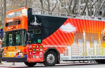 Express Sightseeing Bus Day Tour with Night view Combo