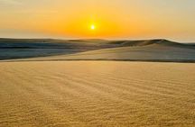 Doha Sunrise, Sunset Desert Safari Camel Ride & Inland Sea Tour